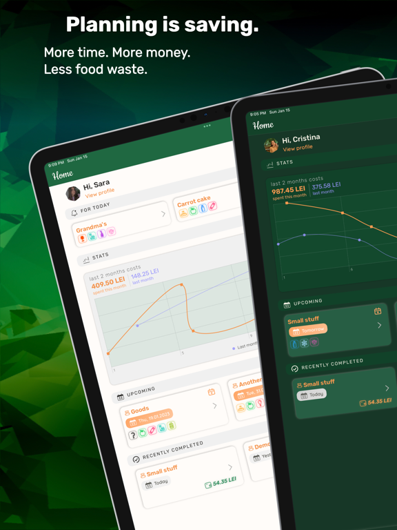 Shopping List Planner: Paner