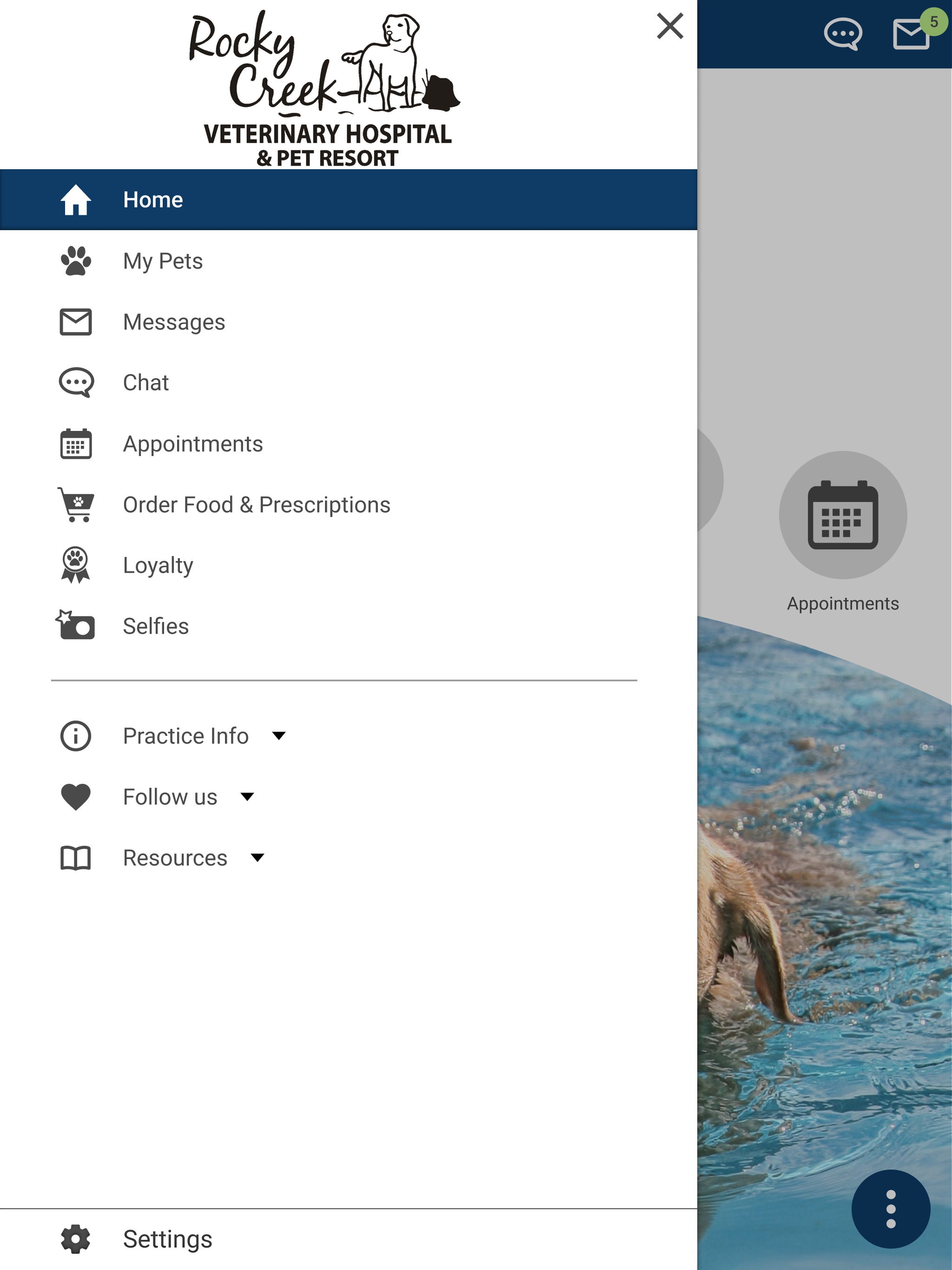 RCVH Vet screenshot 10