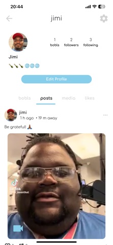 Bobl Screenshot 6 of 9