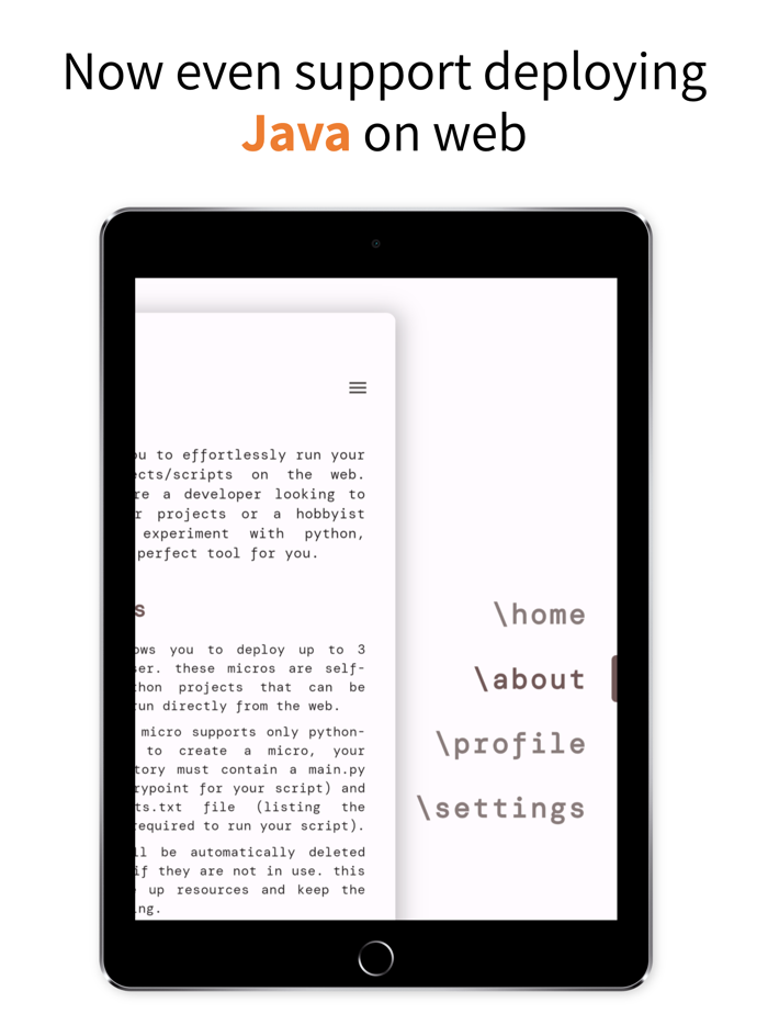 Micro - run python on web
