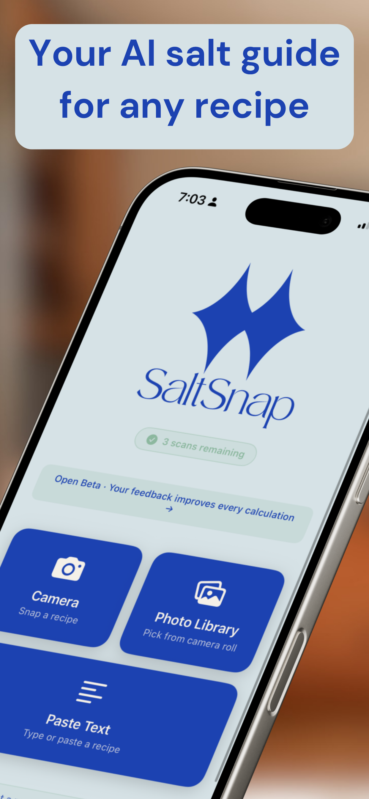 SaltSnap: Recipe Seasoning