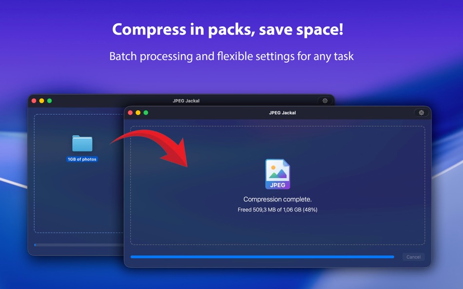 #4. JPEG Jackal PRO (macOS) By: Pavel Kosykh