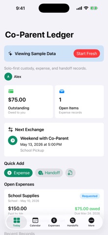 Solo Co-Parent Ledger Screenshot 2 of 5