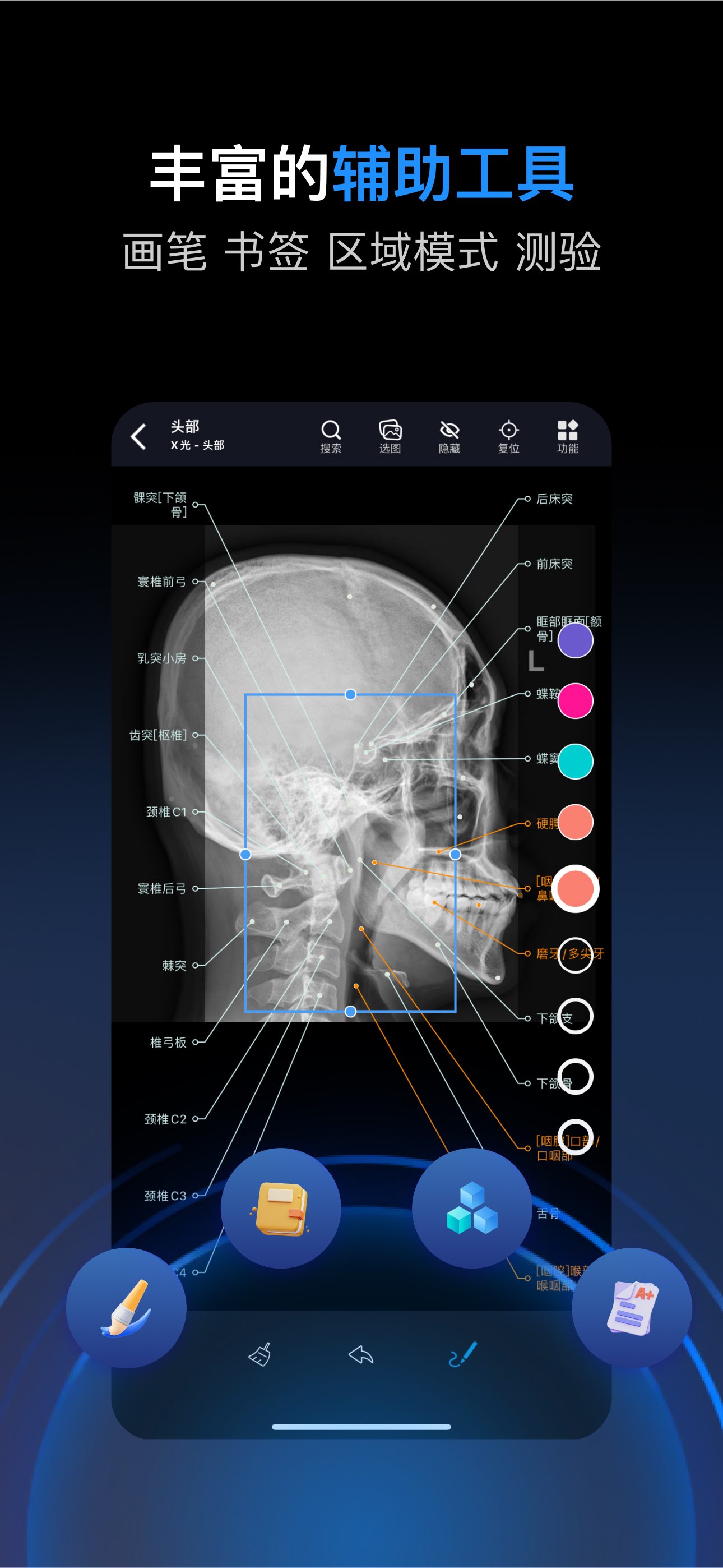 影像解剖图谱 截图 6