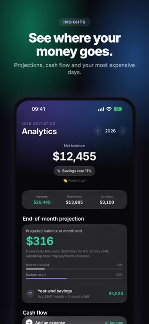 RevenuePilot: Budget Planner screenshot 4