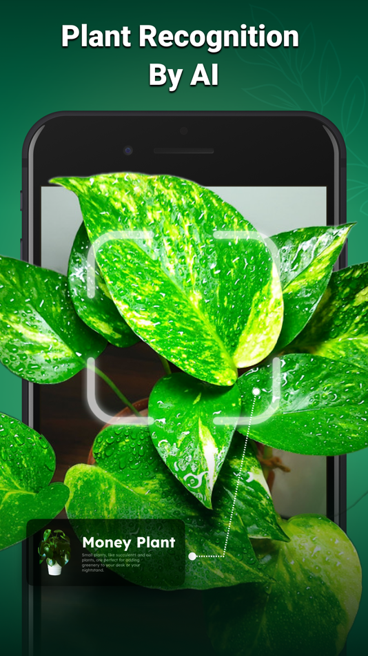 #1. PlantAI Identifier Diagnose (iOS) 由: yoosef sharafi