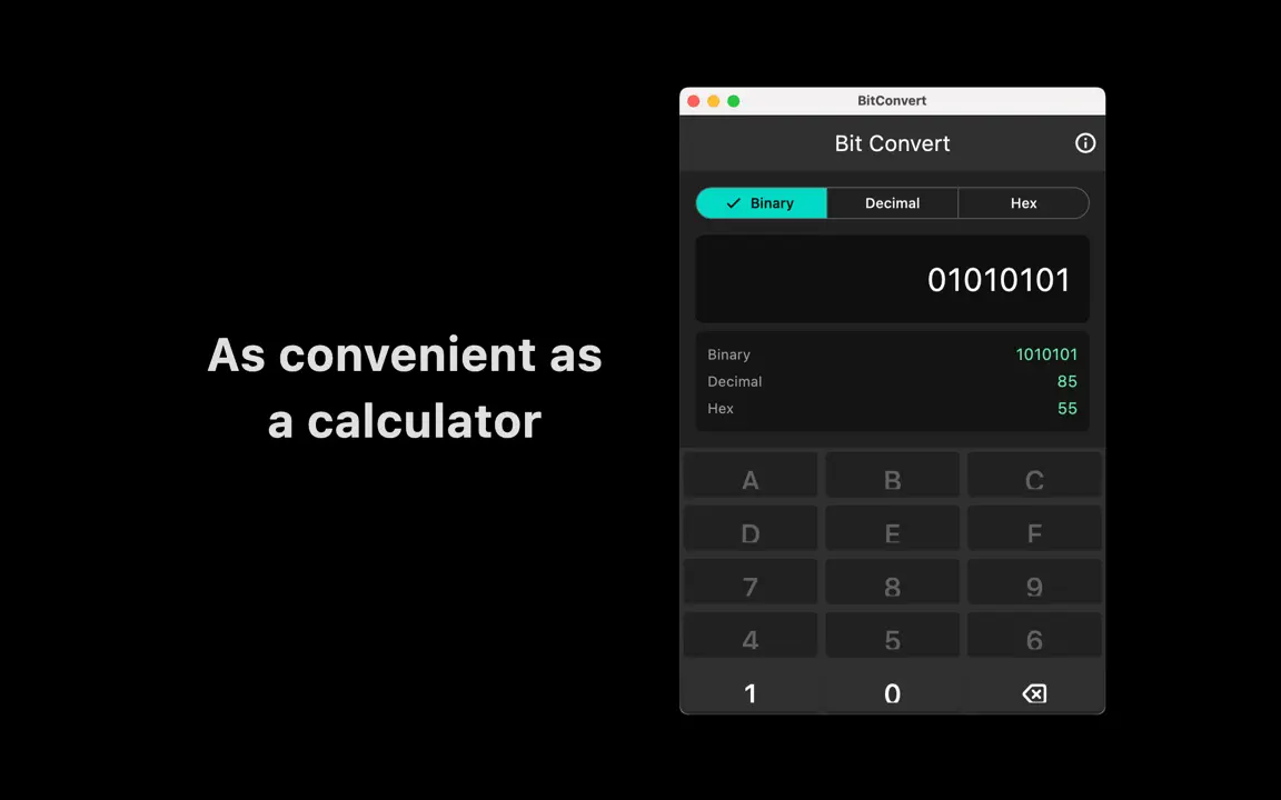 BitConvert-binary Conversion iPhone Screenshot 3