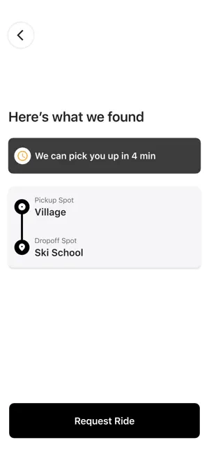 Mountain Express screenshot 3