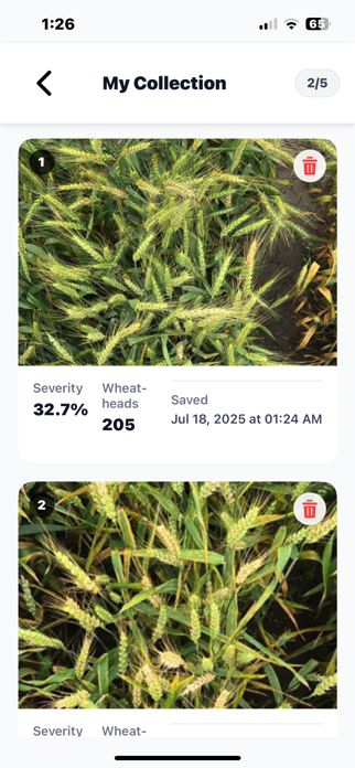 WheatScanR Screenshot 5 of 5