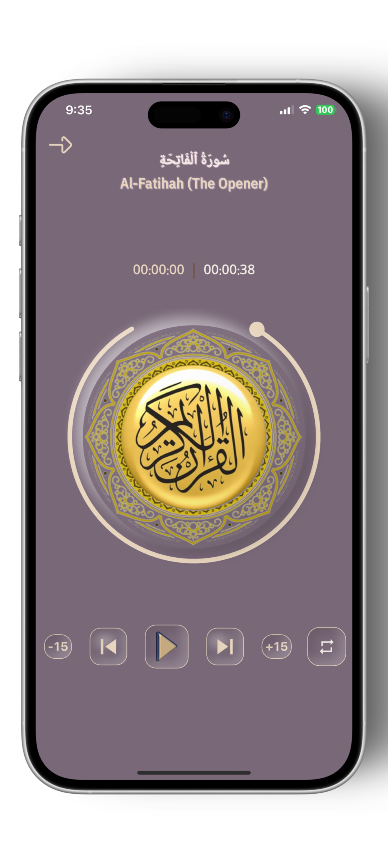 Saad Al Ghamidi Quran Offline