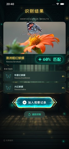 AI 蝴蝶识别 screenshot