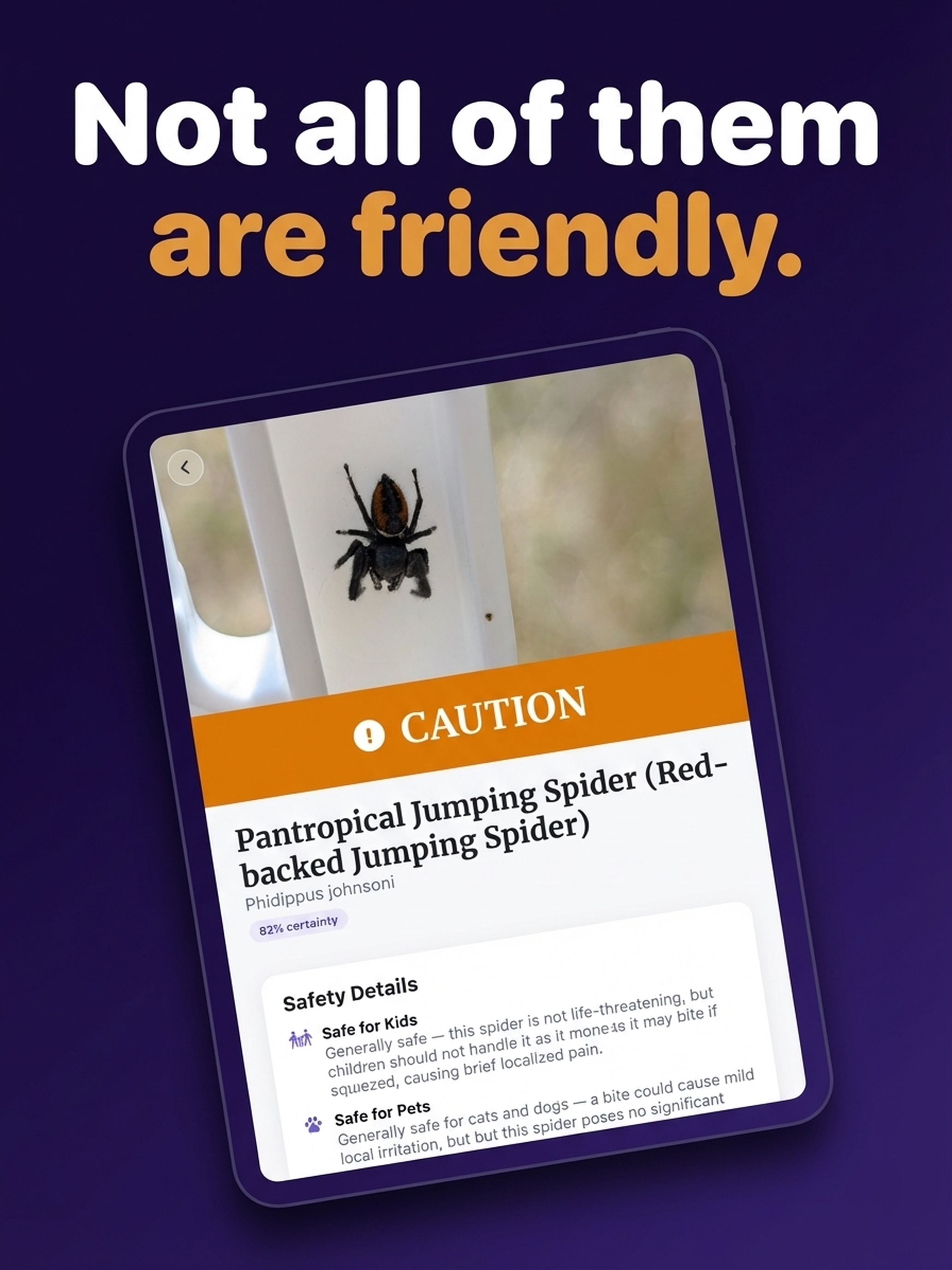 Spider Identifier: Spider Scan