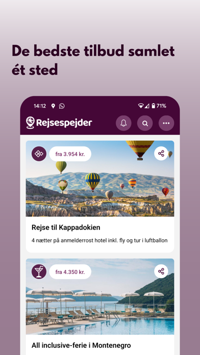 Rejsespejder screenshot