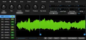 Bliss AUv3 Sampler screenshot 2