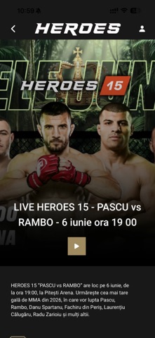 Heroes MMA screenshot