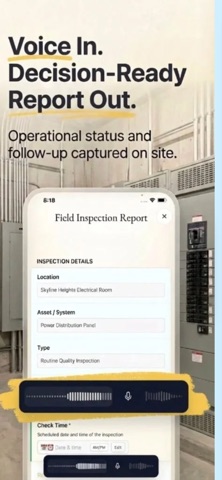 Voiz Report screenshot
