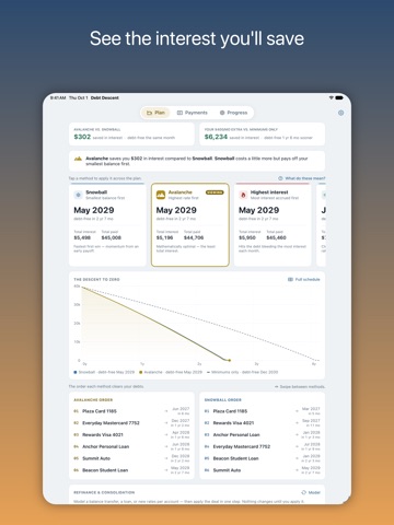 Debt Descent: Payoff Planner iPad screenshot