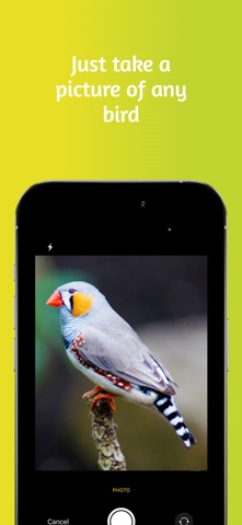 Bird Identifier - Smart AI Screenshot 1 of 3