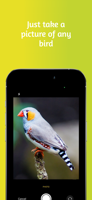 Bird Identifier - Smart AI Screenshot 1 of 3