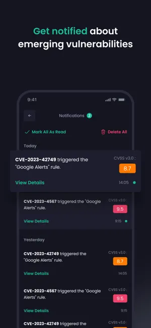 CVE Insights screenshot 1
