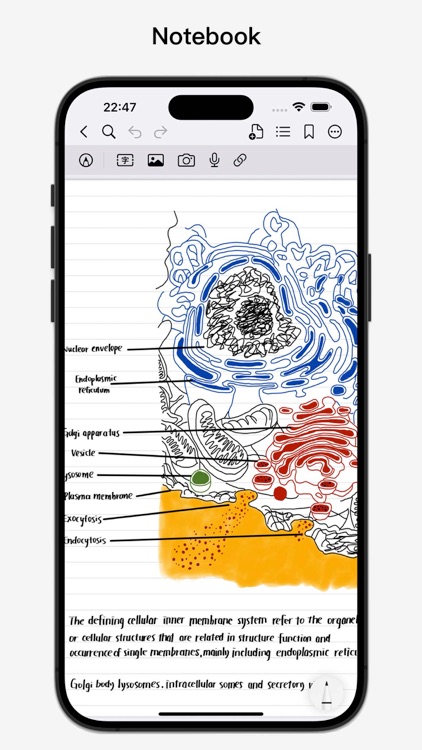 BoardNotes: Notes&PDF&Mindmap screenshot-3