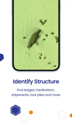 Fish Reveal screenshot 4