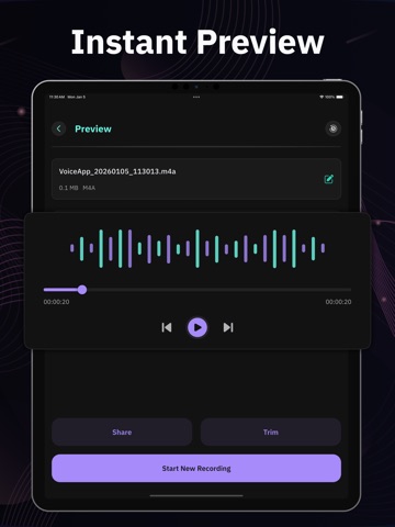Audio Voice Recorder iPad screenshot