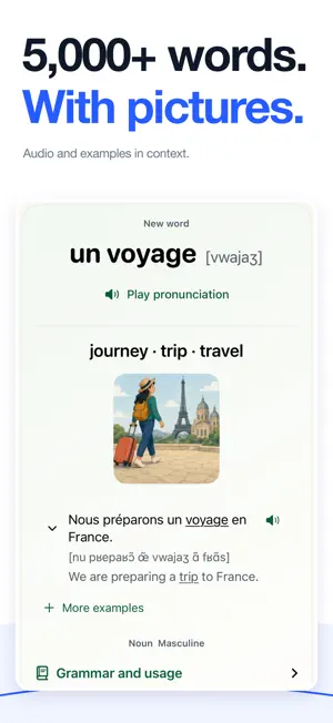 Learn French Words: Verbiara screenshot 4