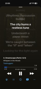 iMusify screenshot