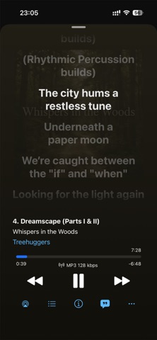 iMusify iPhone screenshot
