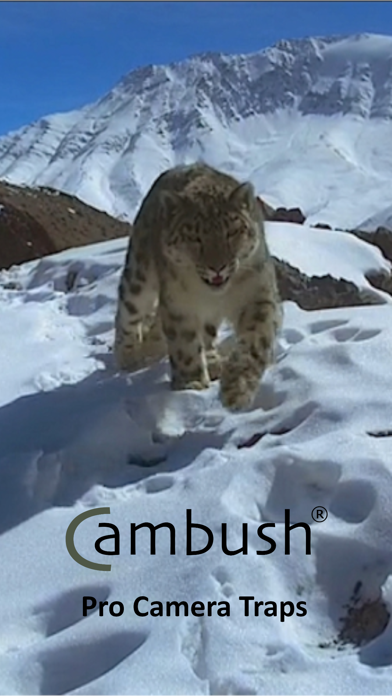 Screenshot #1 pour Cambush