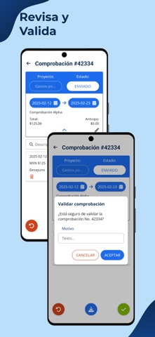 Bluespend iPhone screenshot