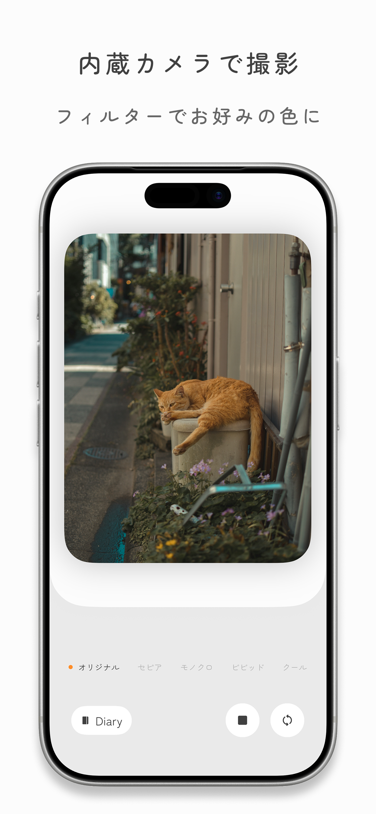 Orlo - 写真とカレンダーで続く日記 -