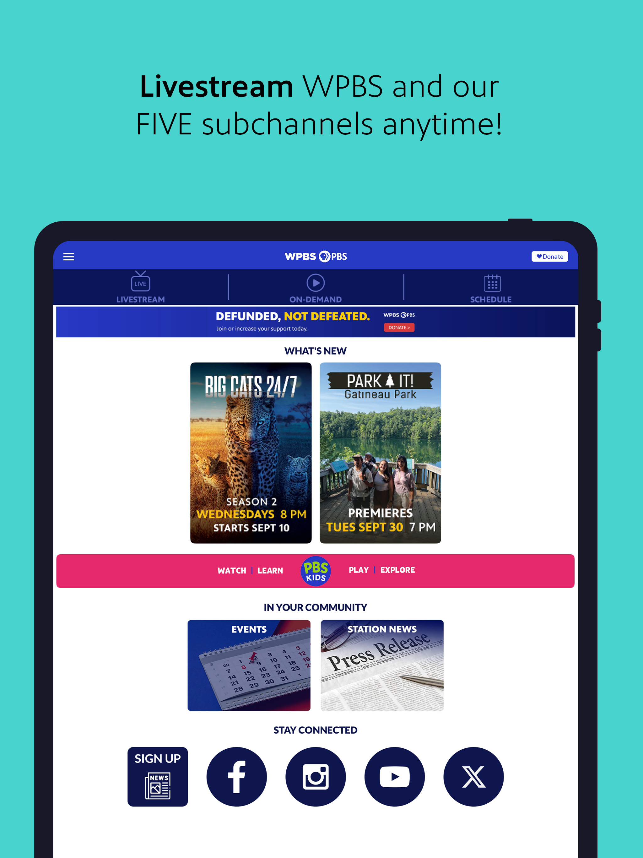 WPBS App screenshot 10