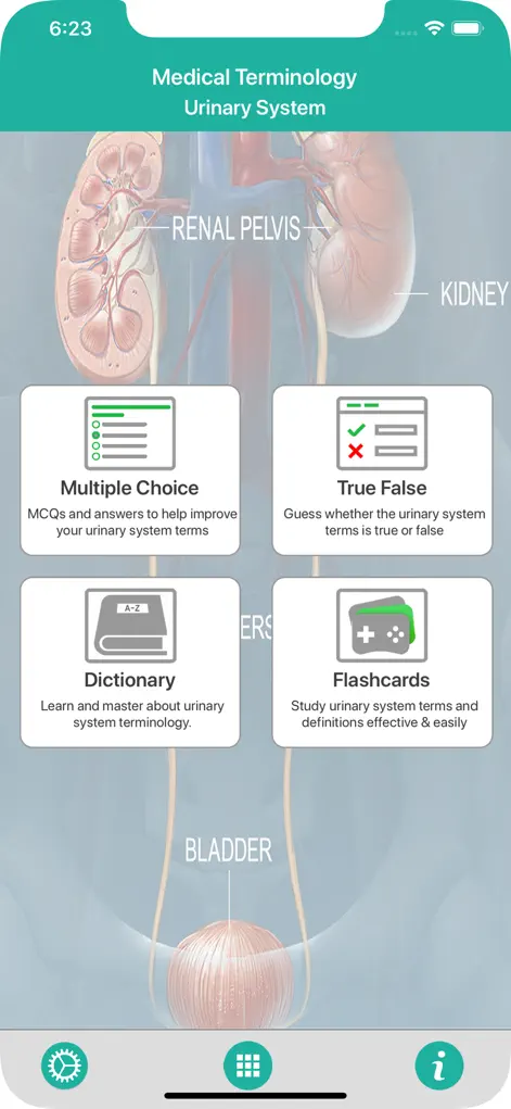 Urinary System Medical Terms - Education App | MWM