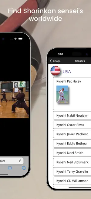 Shorin-Ryu Shorinkan Pro screenshot 4