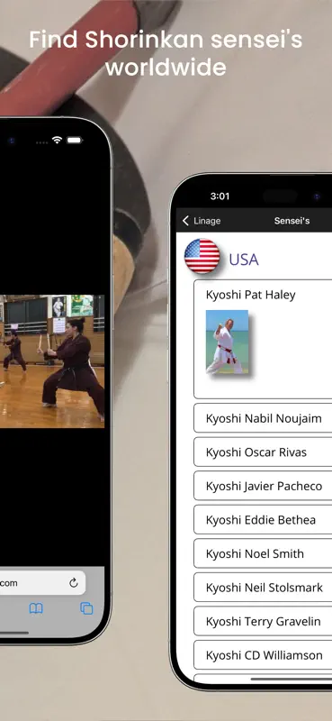 Shorin-Ryu Shorinkan Pro screenshot 4 of 5