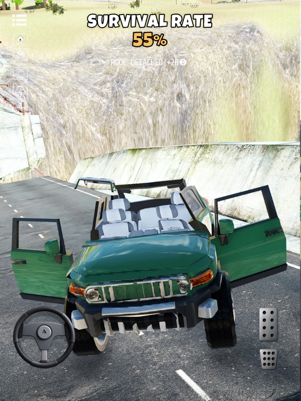 Car Survival Rate screenshot 10