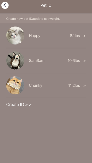 PetSnowy Screenshot