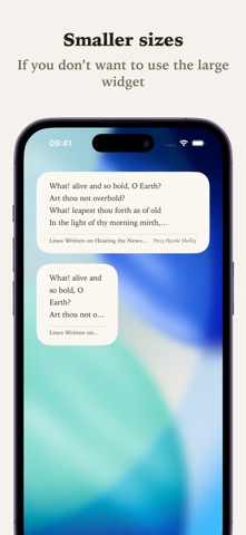 Widgetry: A Poem a Day screenshot