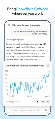 Snowflake CoWork iPhone screenshot