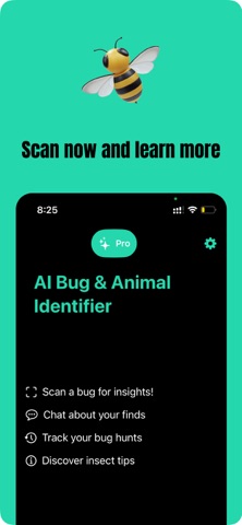 AI Bug & Animal Identifier Screenshot 1 of 5