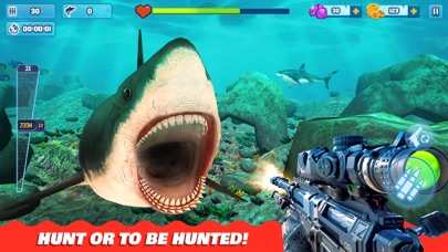 Shark Hunting Games: Sniper 3D Screenshot