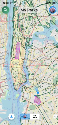 NYC Green Screenshot 1 of 4