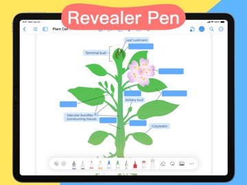 Notes+ : Notes for Pencil iPad screenshot