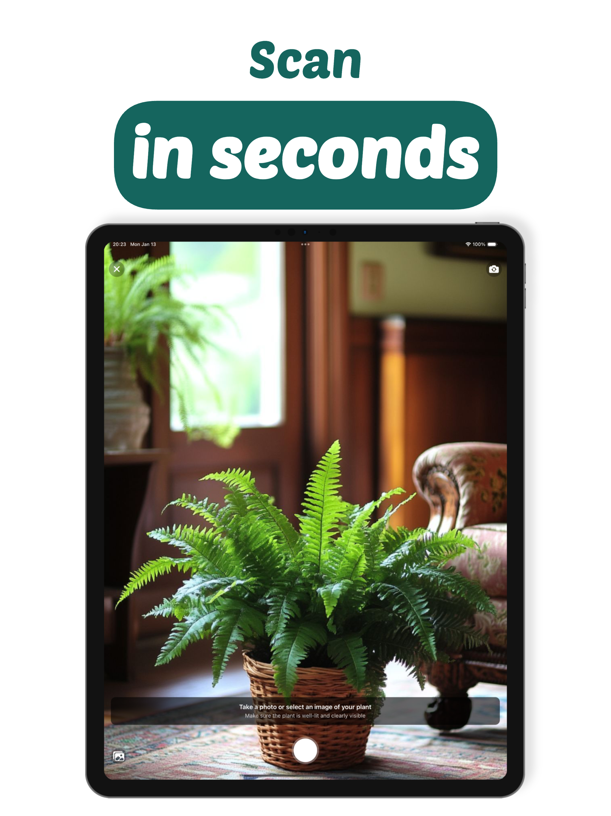 Plant Identifier: PlantCam screenshot 5