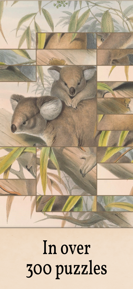 Art of Fauna: Cozy Puzzles+ 的 App Store 截图 3