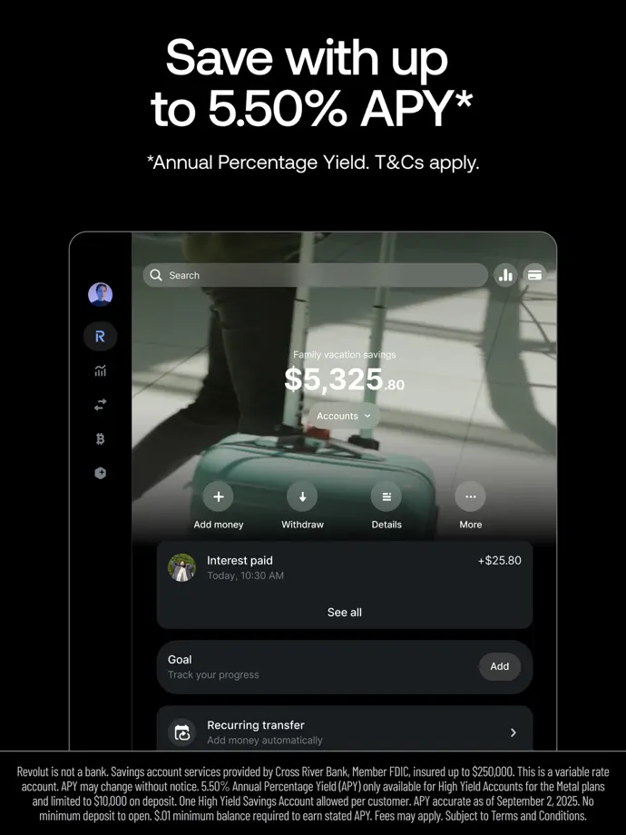 Revolut iPad screenshot 2