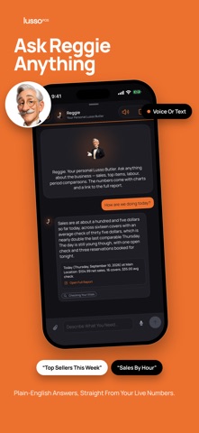 Lusso POS iPhone screenshot