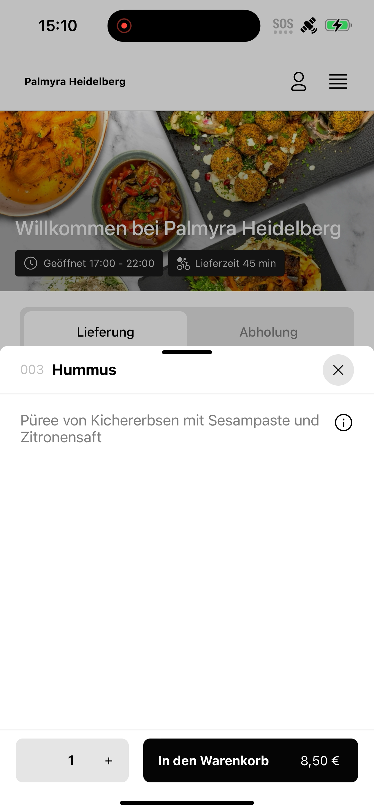 Palmyra Heidelberg screenshot 7